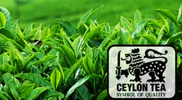 Sri Lanka to sign MoU with China to market Pure Ceylon Tea both online and offline