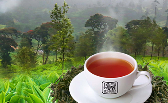 Ceylon Tea sets global standards in Sri Lanka