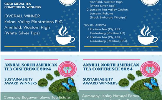 North American Tea Conference 2024