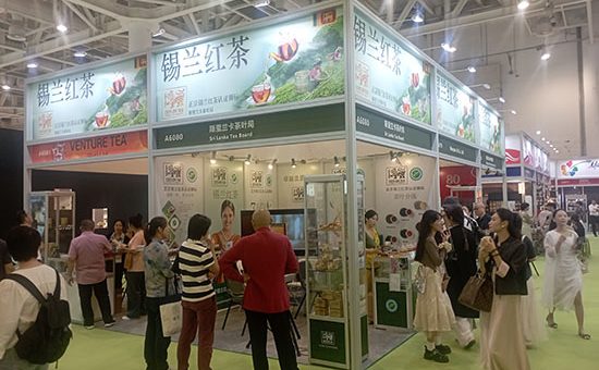 Ceylon Tea Pavilion organized at the Xiamen International Tea Fair 2024,Fujian Province-China    