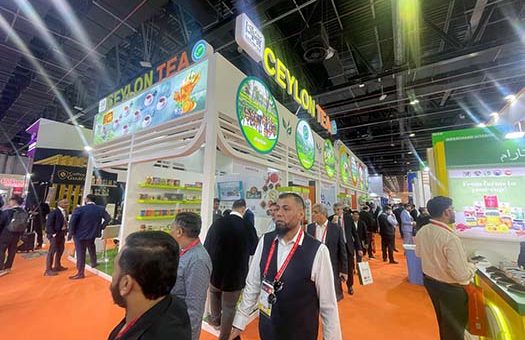 Sri Lanka Tea Board with the collaboration of the Sri Lanka Consulate General Office in Dubai organized two Ceylon Tea pavilions at the 30th edition of Gulfood