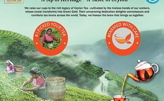 Celebration of International Tea Day 2025
