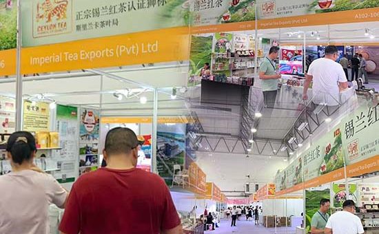 Organizing Ceylon Tea Pavilion at the 18th Cross Straits Agricultural Product Fair 2025