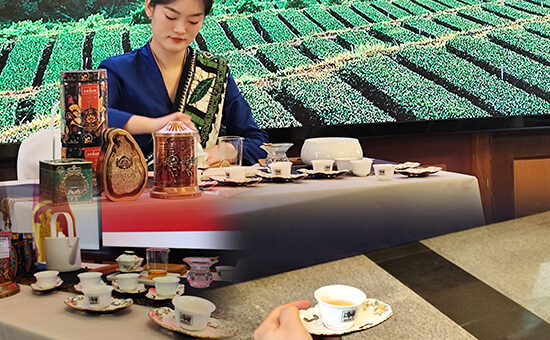 Strategic Public Diplomacy Initiative of the Embassy of Sri Lanka in Beijing Creates High-Impact