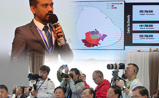 Positioning Ceylon Tea as a Global Benchmark in Authenticity, Quality, and Sustainable Excellence in Hubei, China