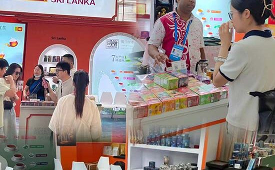 Promoting Ceylon Tea in Northwest China